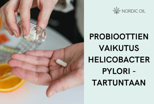 Probioottien vaikutus Helicobacter pylori -tartuntaan