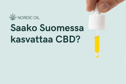 Saako Suomessa kasvattaa CBD?