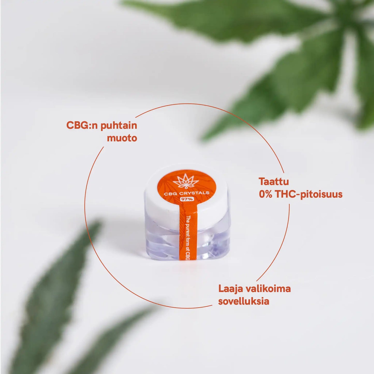 Informatiivinen näkymä CBG-pakkauksesta