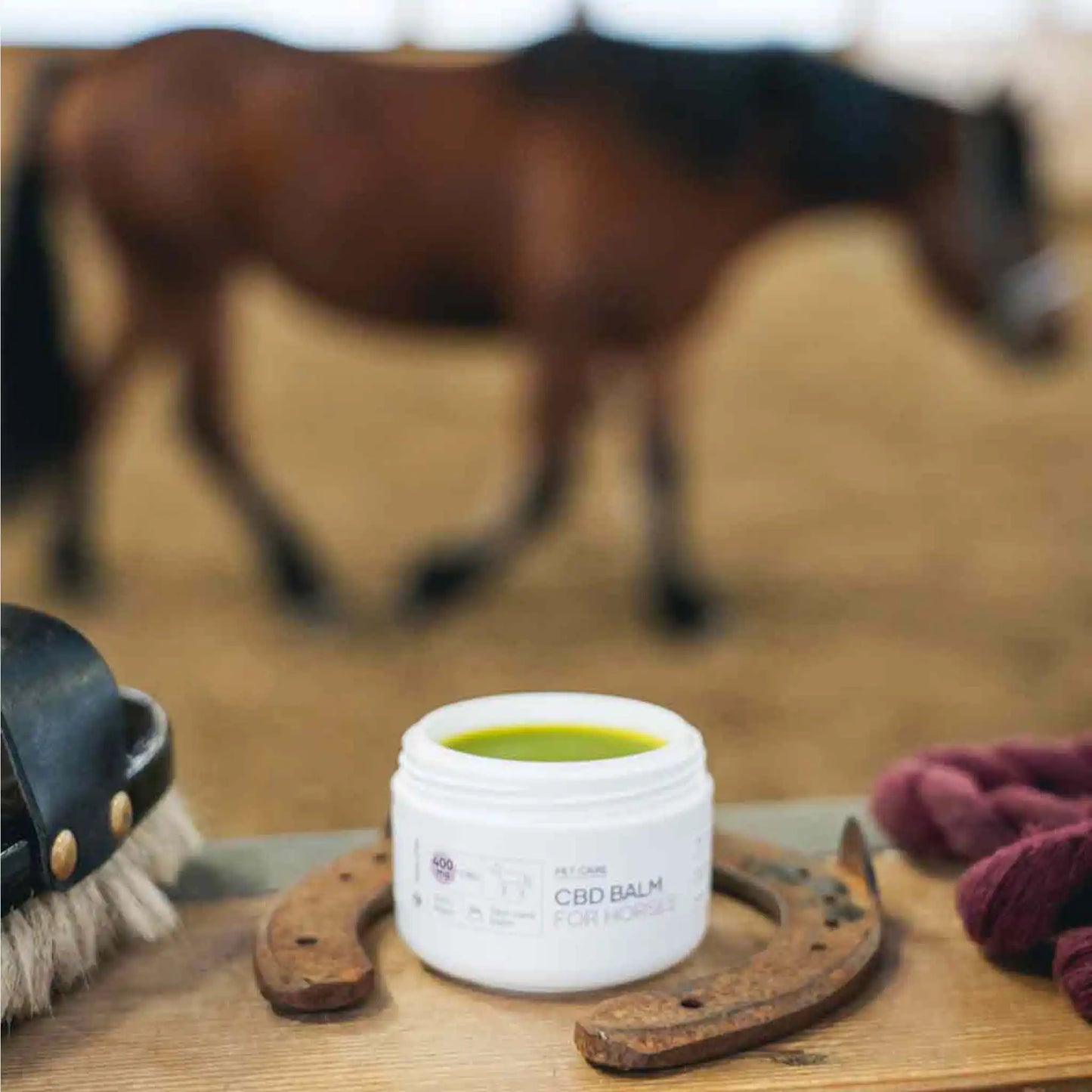 CBD Balm hevosille - avoin pakkaus, jonka taustalla on hevoset