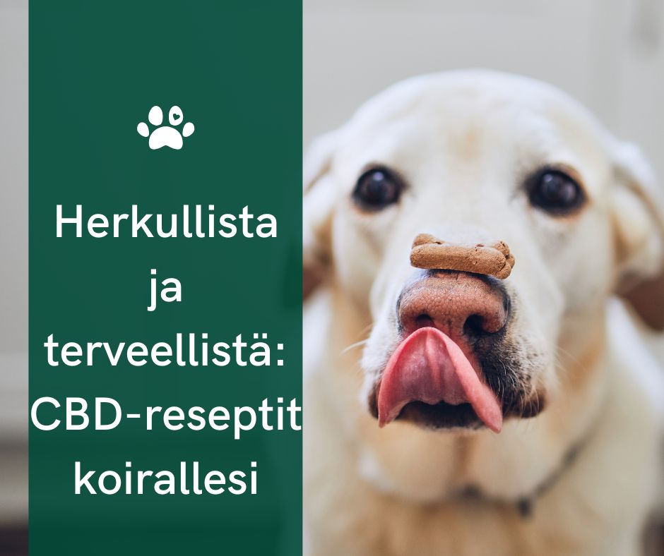 cbd reseptit koirille