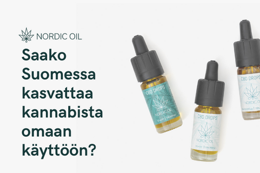 Saako Suomessa kasvattaa kannabista omaan käyttöön?