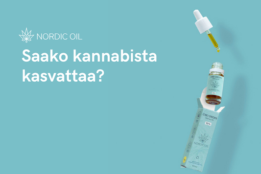 Saako kannabista kasvattaa?