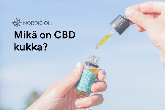 Mikä on CBD kukka?