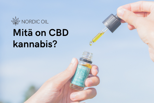 Mitä on CBD kannabis?