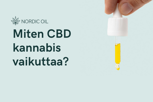 Miten CBD kannabis vaikuttaa?