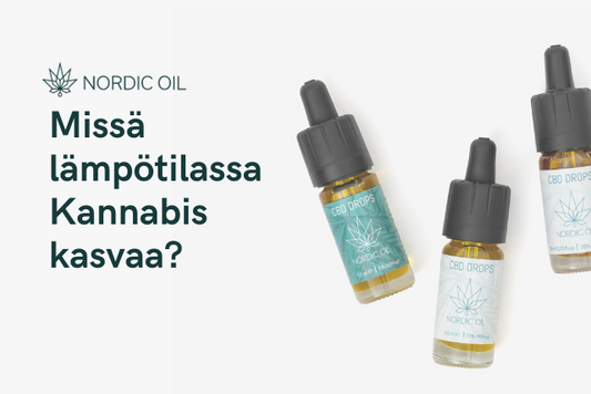 Missä lämpötilassa Kannabis kasvaa?