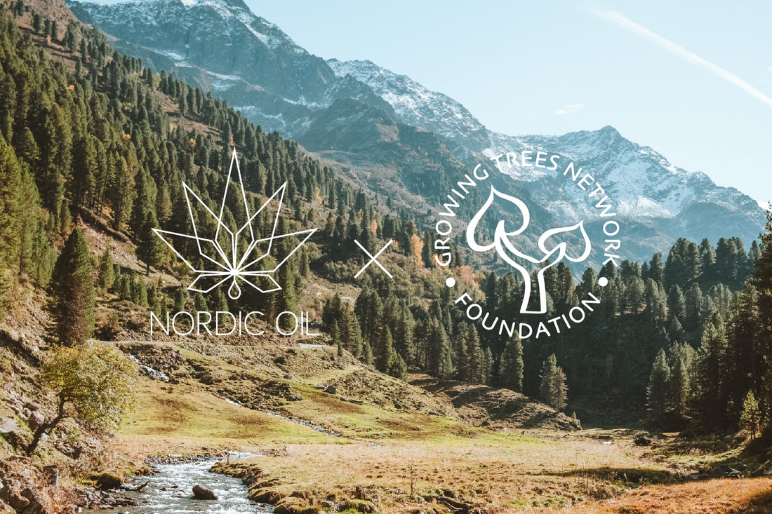 Nordic Oil x Growing Trees