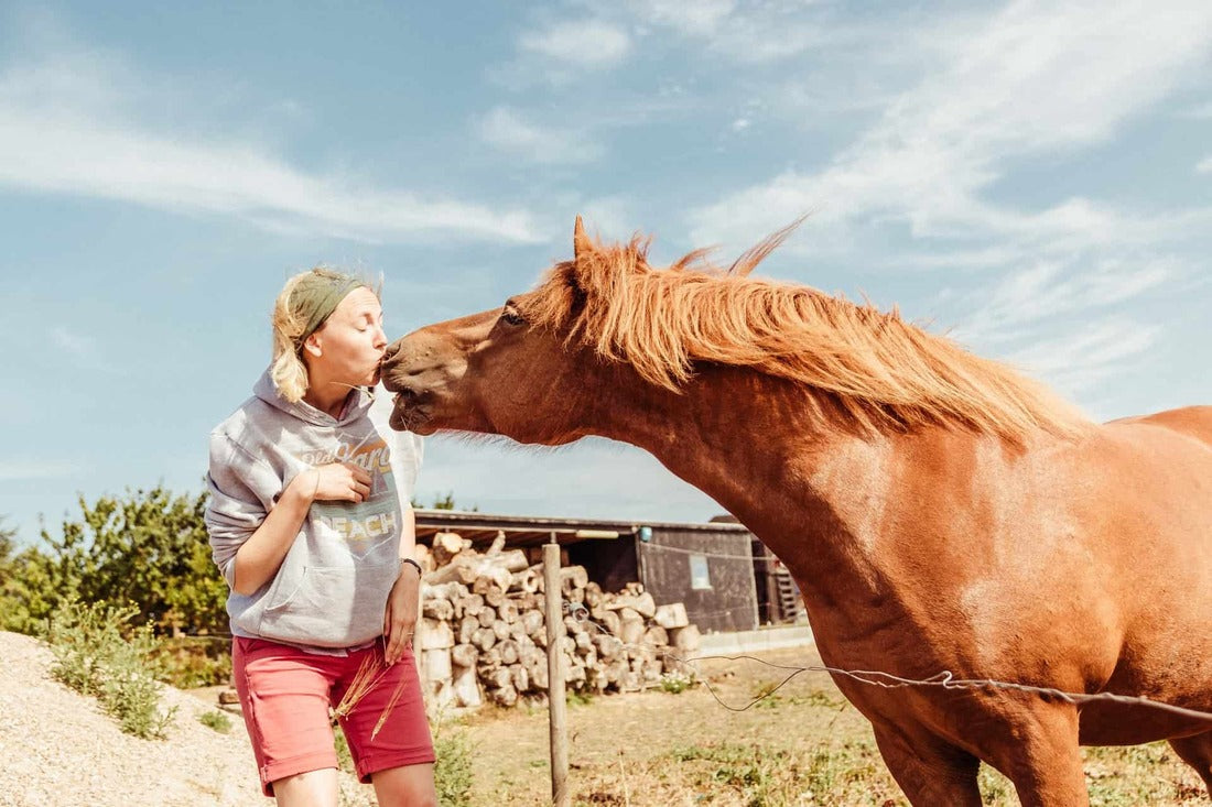 Horse kissing woman