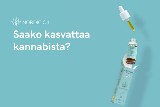 Saako kasvattaa kannabista?