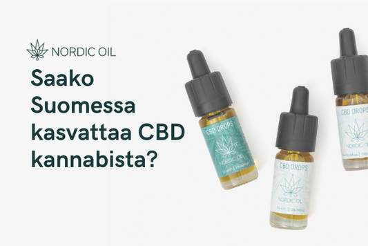 Saako Suomessa kasvattaa CBD kannabista?