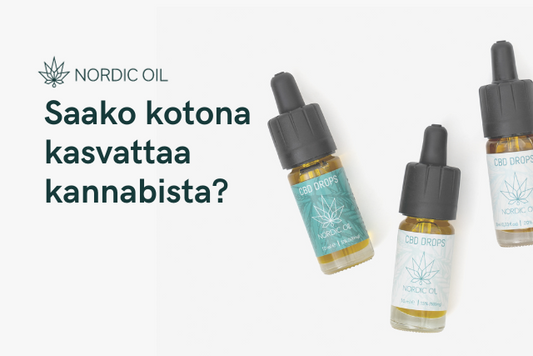 Saako kotona kasvattaa kannabista?