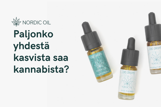 Paljonko yhdestä kasvista saa kannabista?