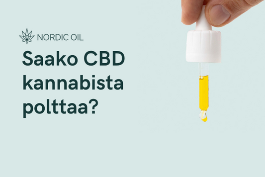 Saako CBD kannabista polttaa?