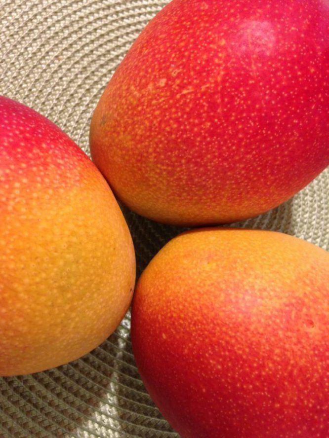 Mango ja kannabis? Täydellinen yhdistelmä