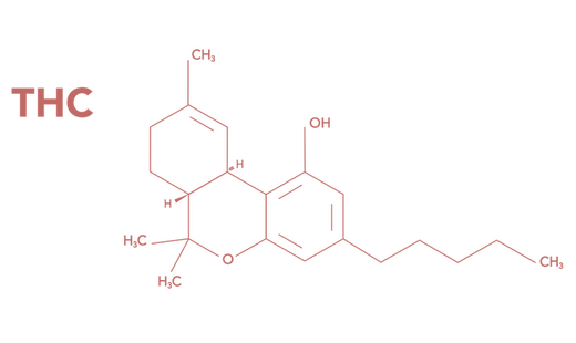 Mikä on THC (tetrahydrokannabinoli)?