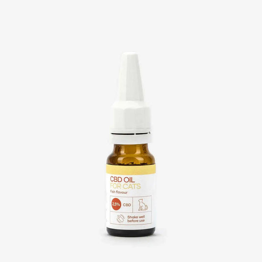 CBD-öljy (2,5 %) kissoille, joilla on valkoinen tausta.