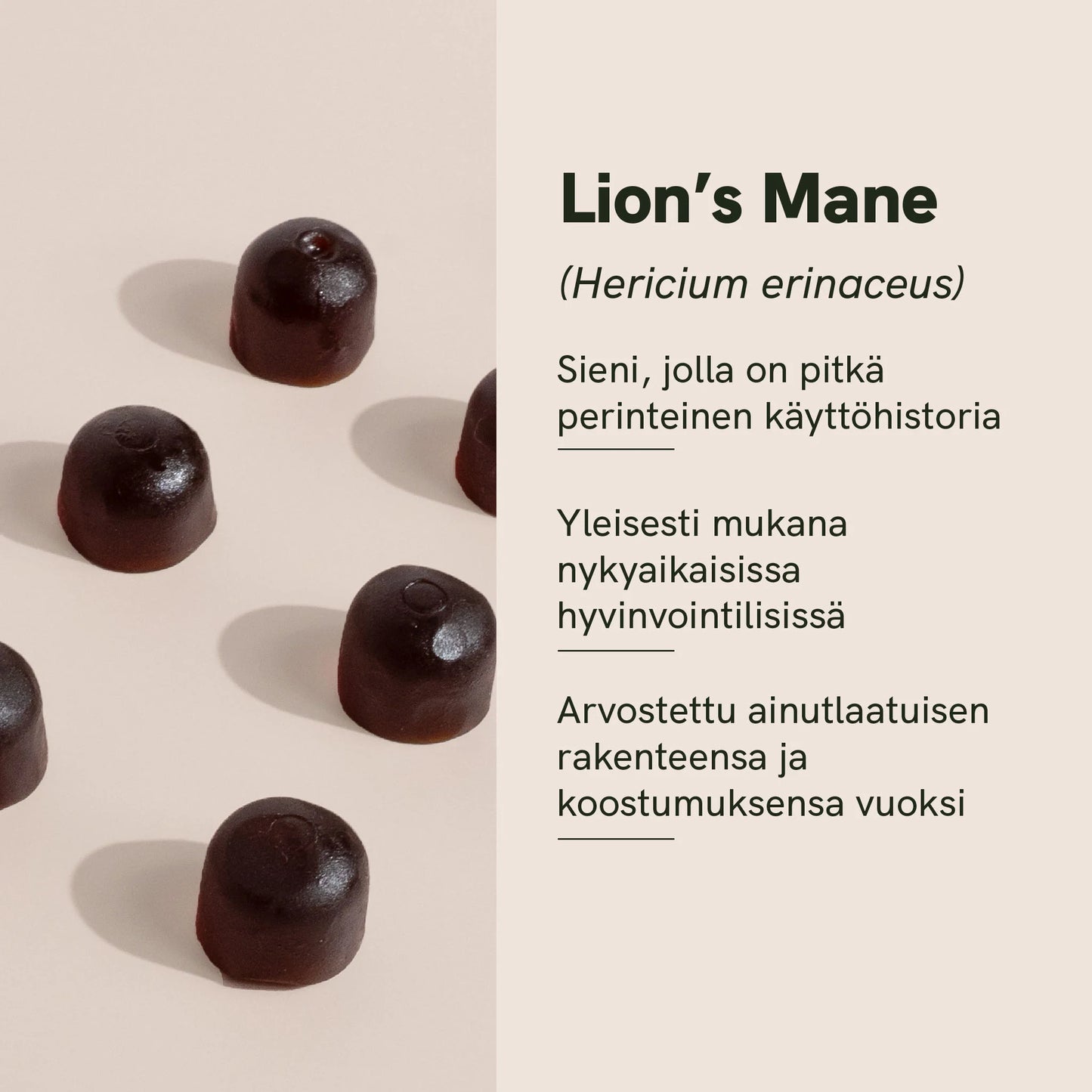 Lion’s Mane (Siiliorakas) Gummies