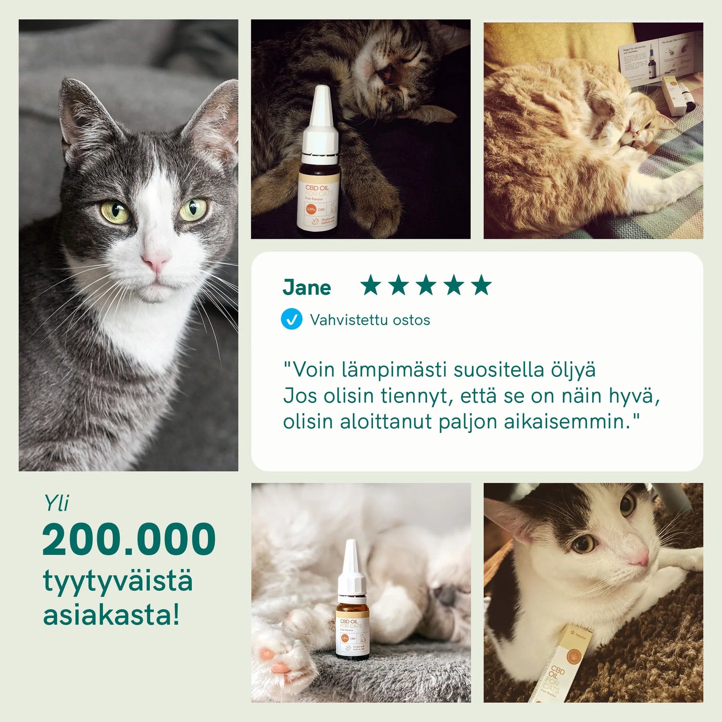 CBD-öljy Kissoille - Kala (2,5%)