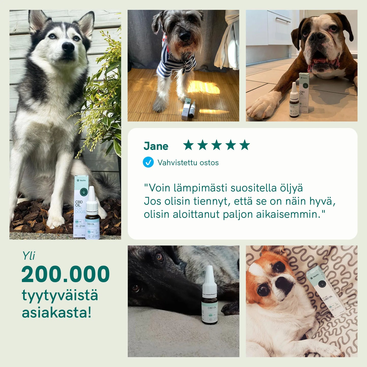 3FOR2: CBD-öljy Koirille - Nauta - (4%)