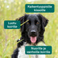 CBD-öljy Koirille - Nauta - (2,5%)
