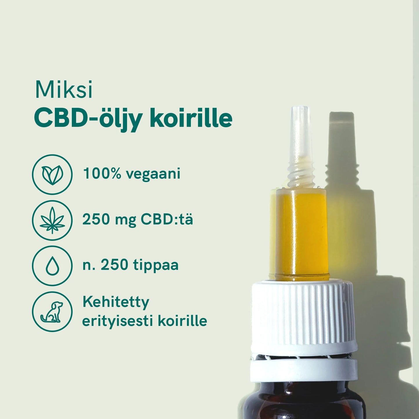 CBD-öljy Koirille - Nauta - (2,5%)
