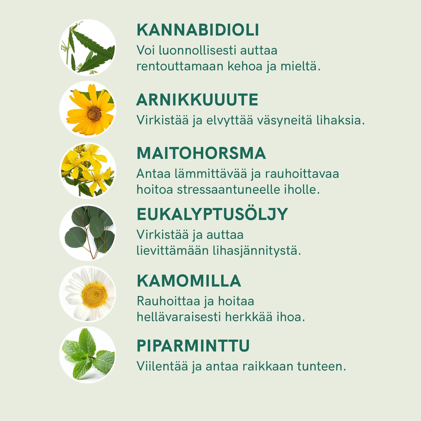 Infografiikka luonnontuotteista: kannabidioli, arnika-uutetta, maitohorsmaa, eukalyptusöljyä, kamomillaa ja piparminttua sekä niiden hyödyistä.