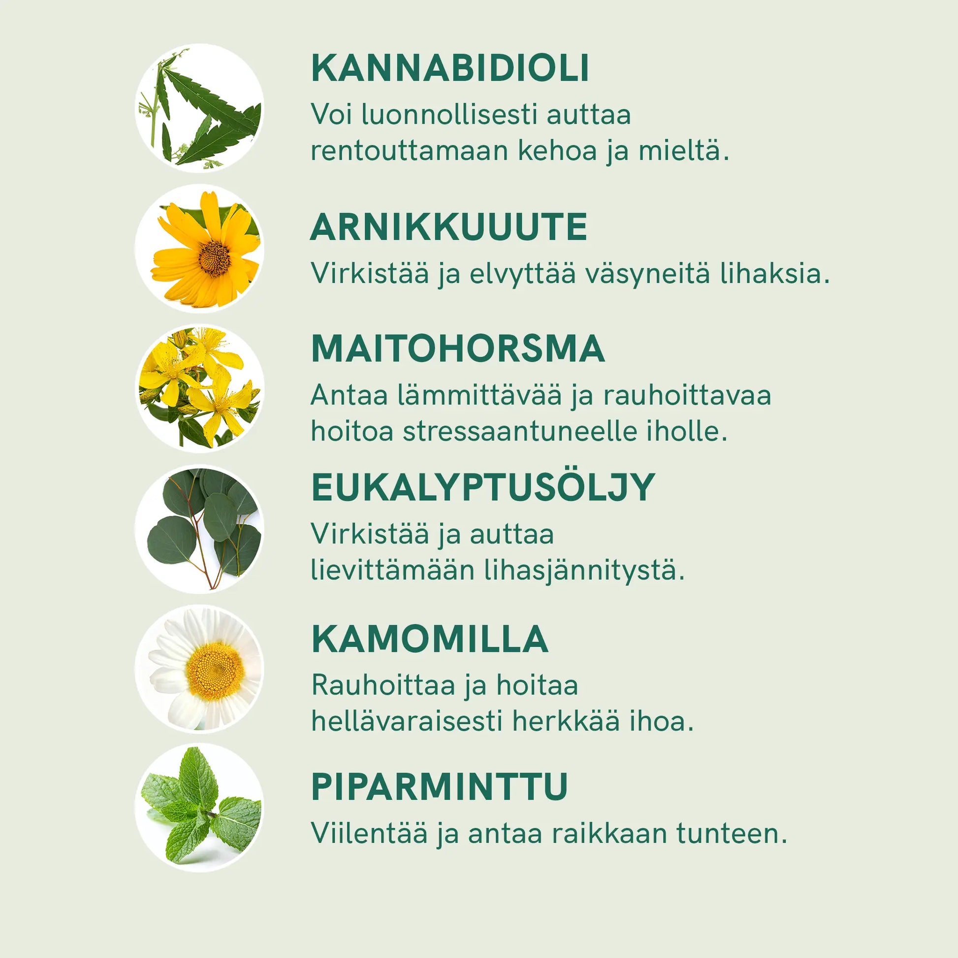 Infografiikka luonnontuotteista: kannabidioli, arnika-uutetta, maitohorsmaa, eukalyptusöljyä, kamomillaa ja piparminttua sekä niiden hyödyistä.