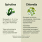 Spirulina ja chlorella -jauhe